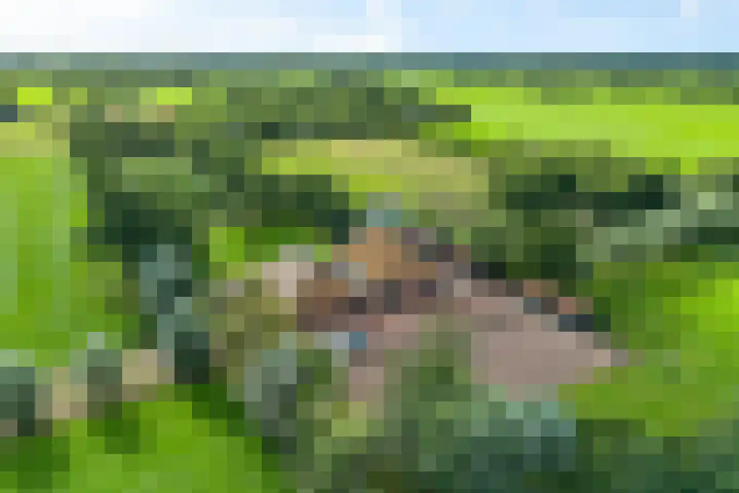 Lietsweg 6 Nuis thumbnail 12