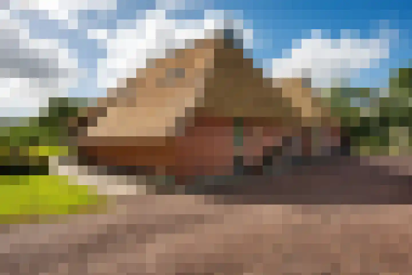 Lietsweg 6 Nuis thumbnail 16