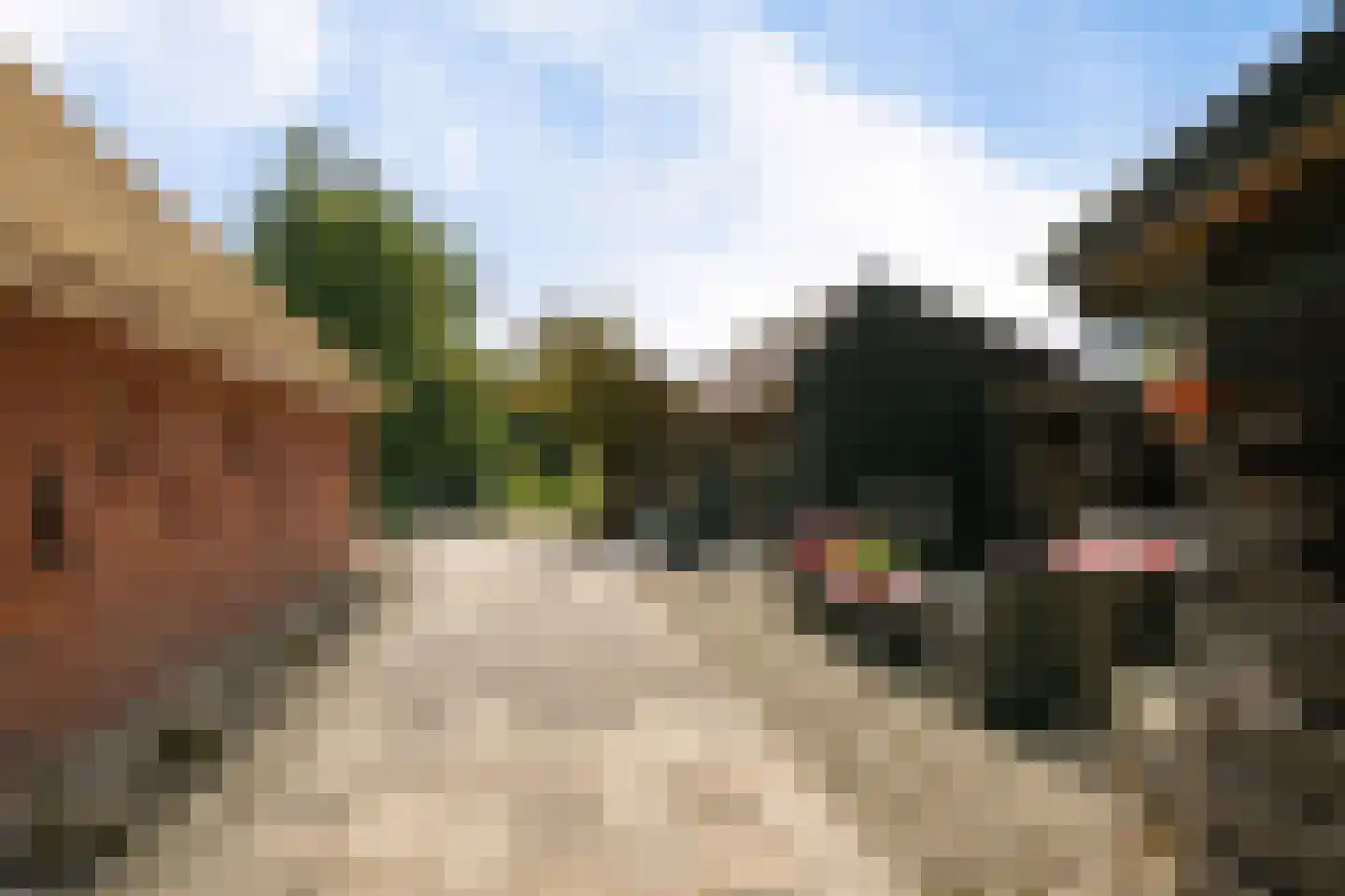 Lietsweg 6 Nuis thumbnail 19