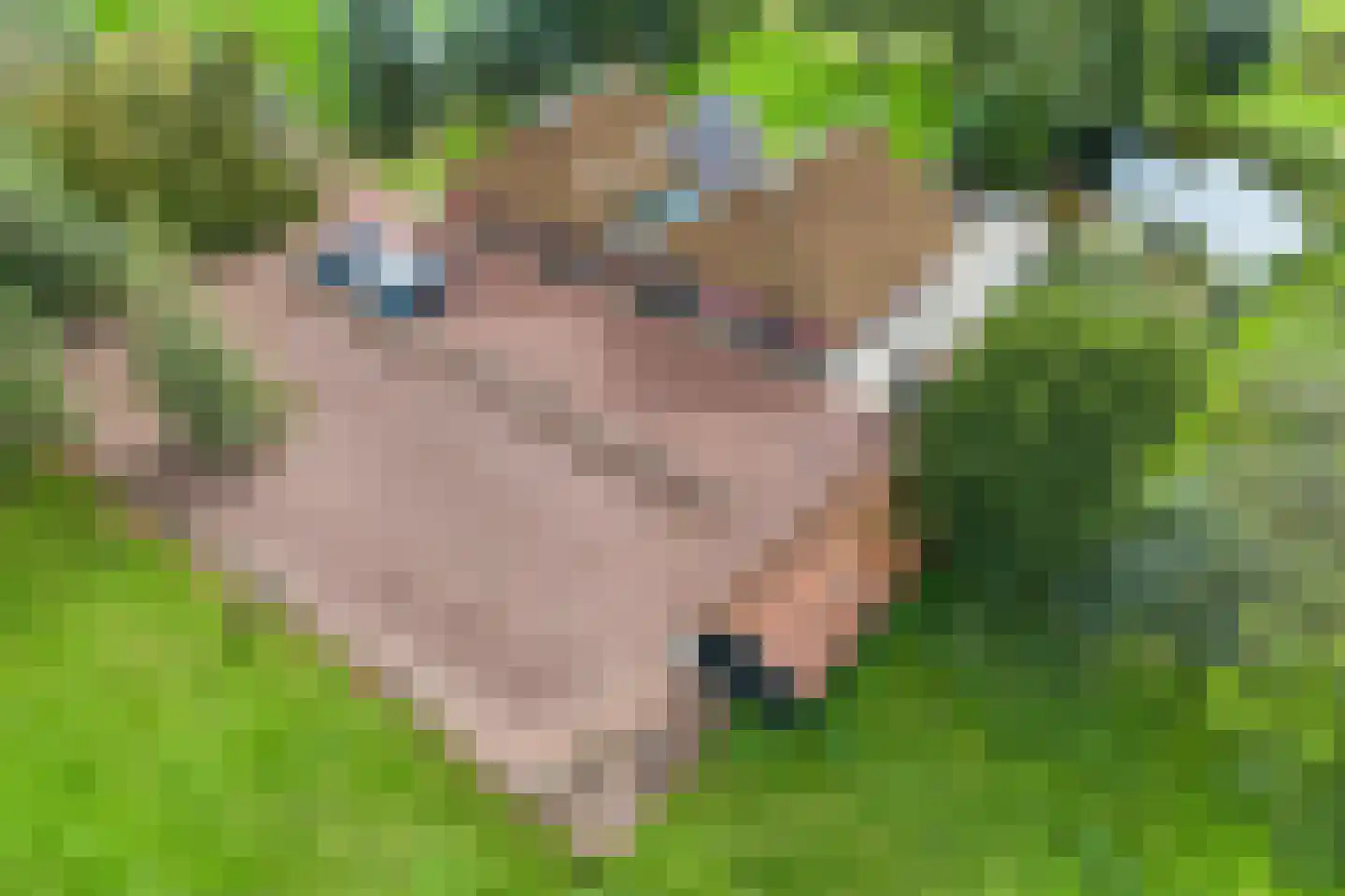 Lietsweg 6 Nuis thumbnail 21
