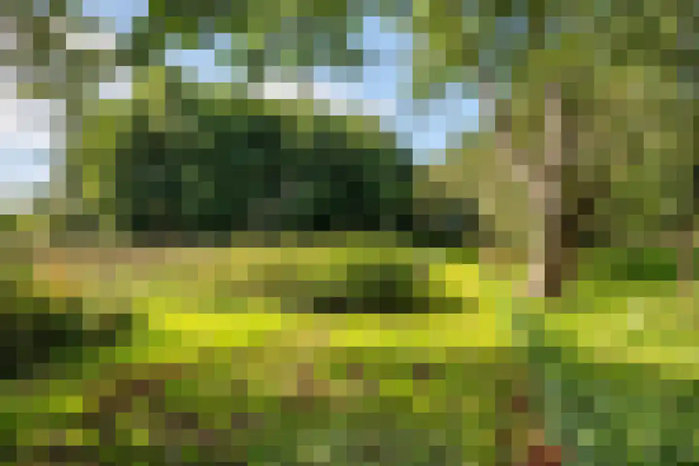 Lietsweg 6 Nuis thumbnail 23