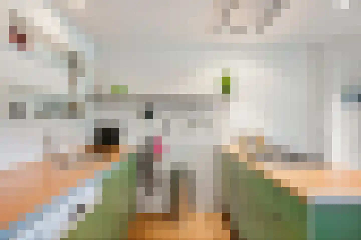 Lietsweg 6 Nuis thumbnail 28