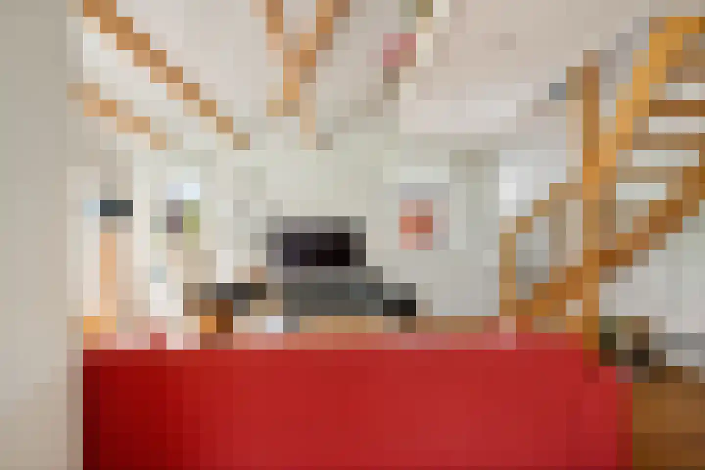 Lietsweg 6 Nuis thumbnail 34