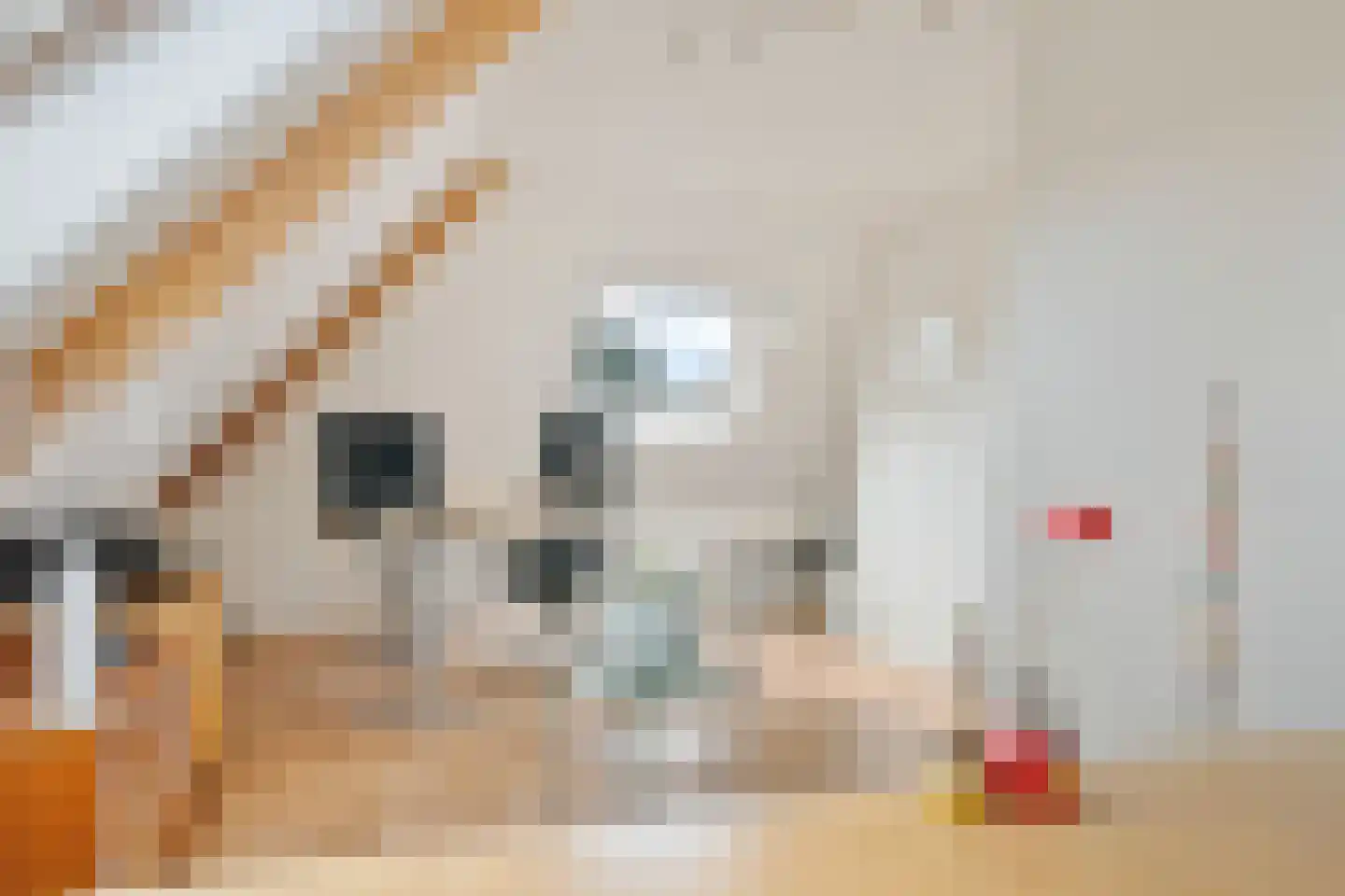 Lietsweg 6 Nuis thumbnail 37