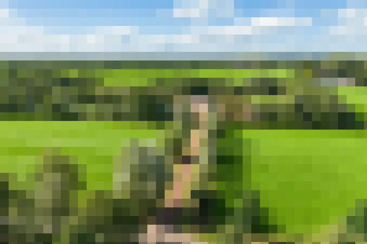 Lietsweg 6 Nuis thumbnail 4