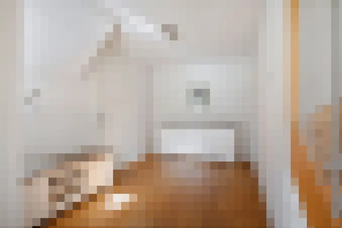 Lietsweg 6 Nuis thumbnail 47