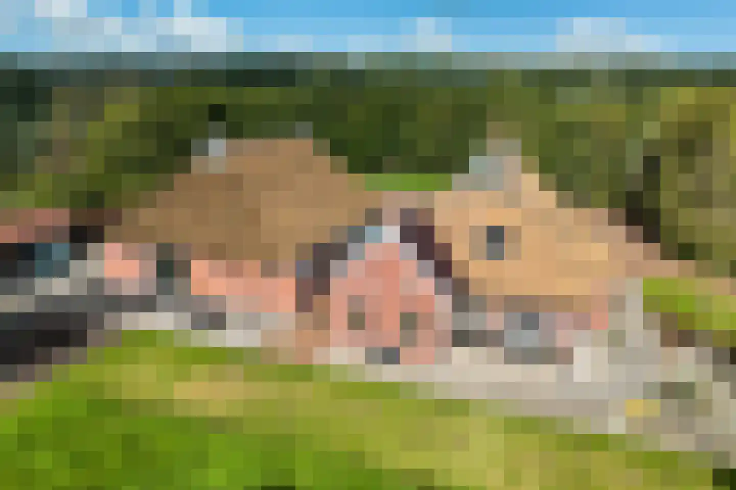 Lietsweg 6 Nuis thumbnail 5