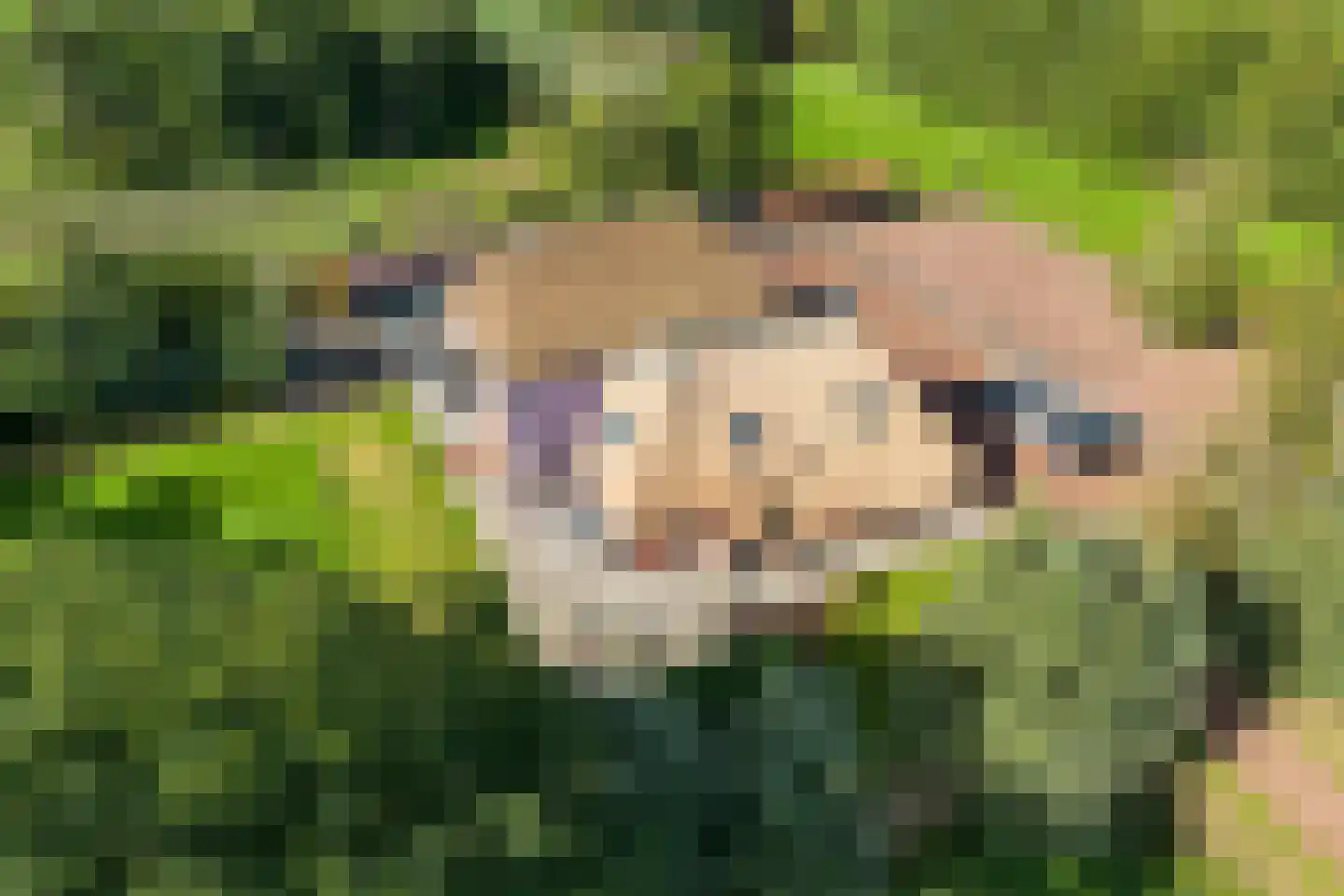 Lietsweg 6 Nuis thumbnail 6