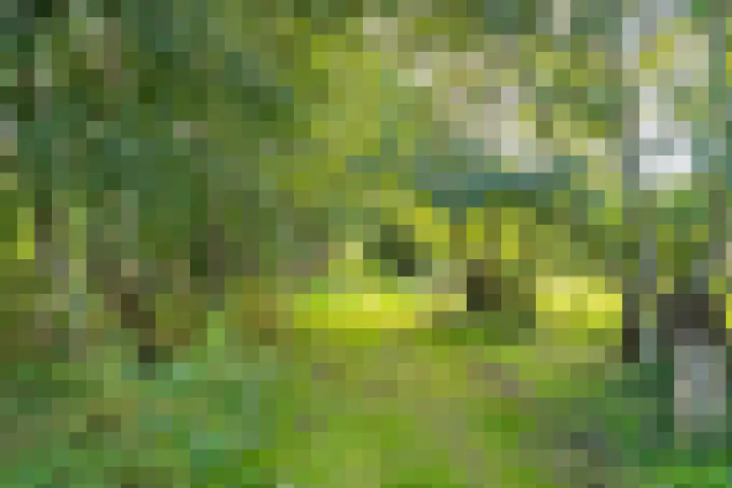 Lietsweg 6 Nuis thumbnail 64