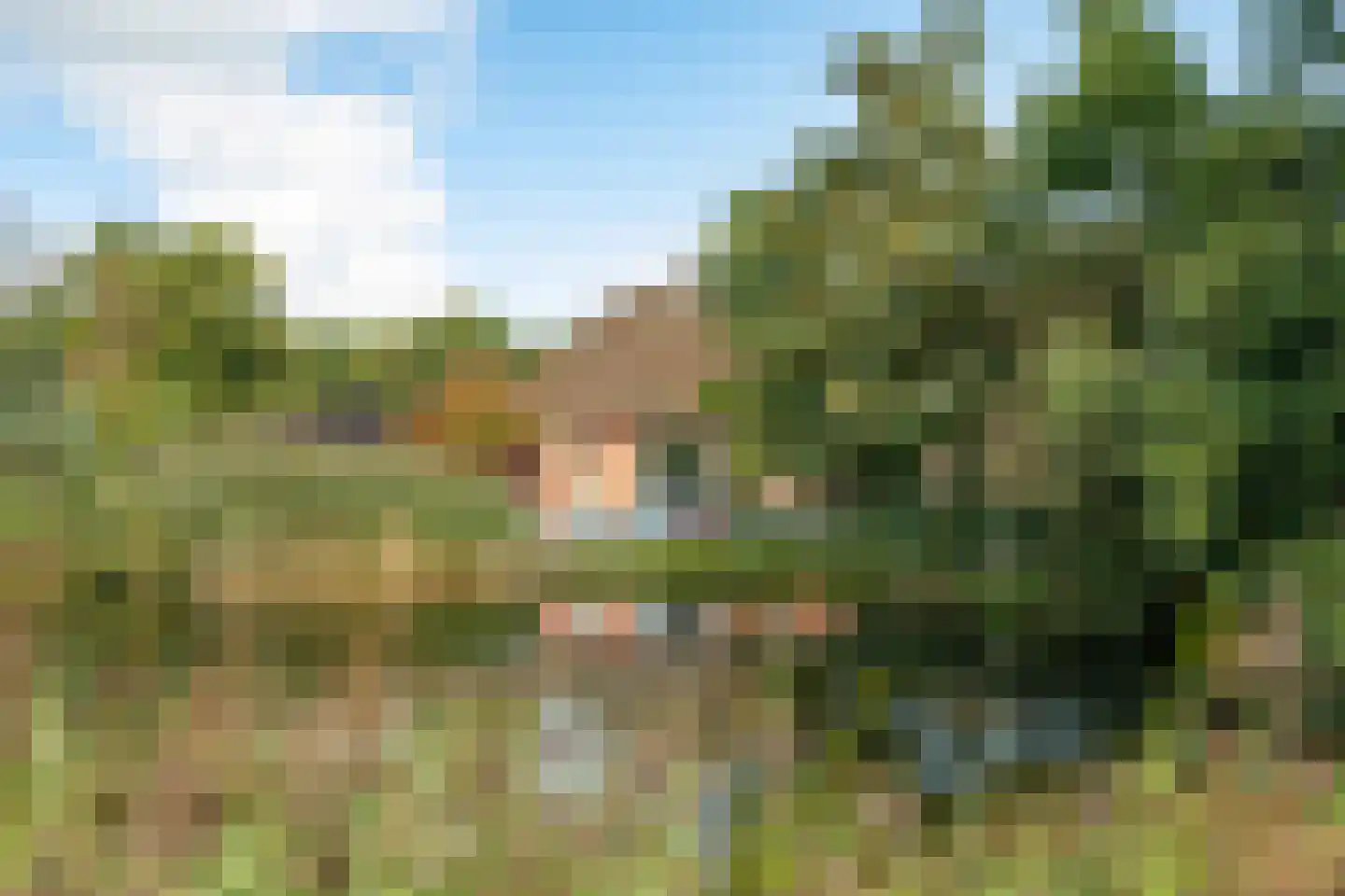 Lietsweg 6 Nuis thumbnail 65