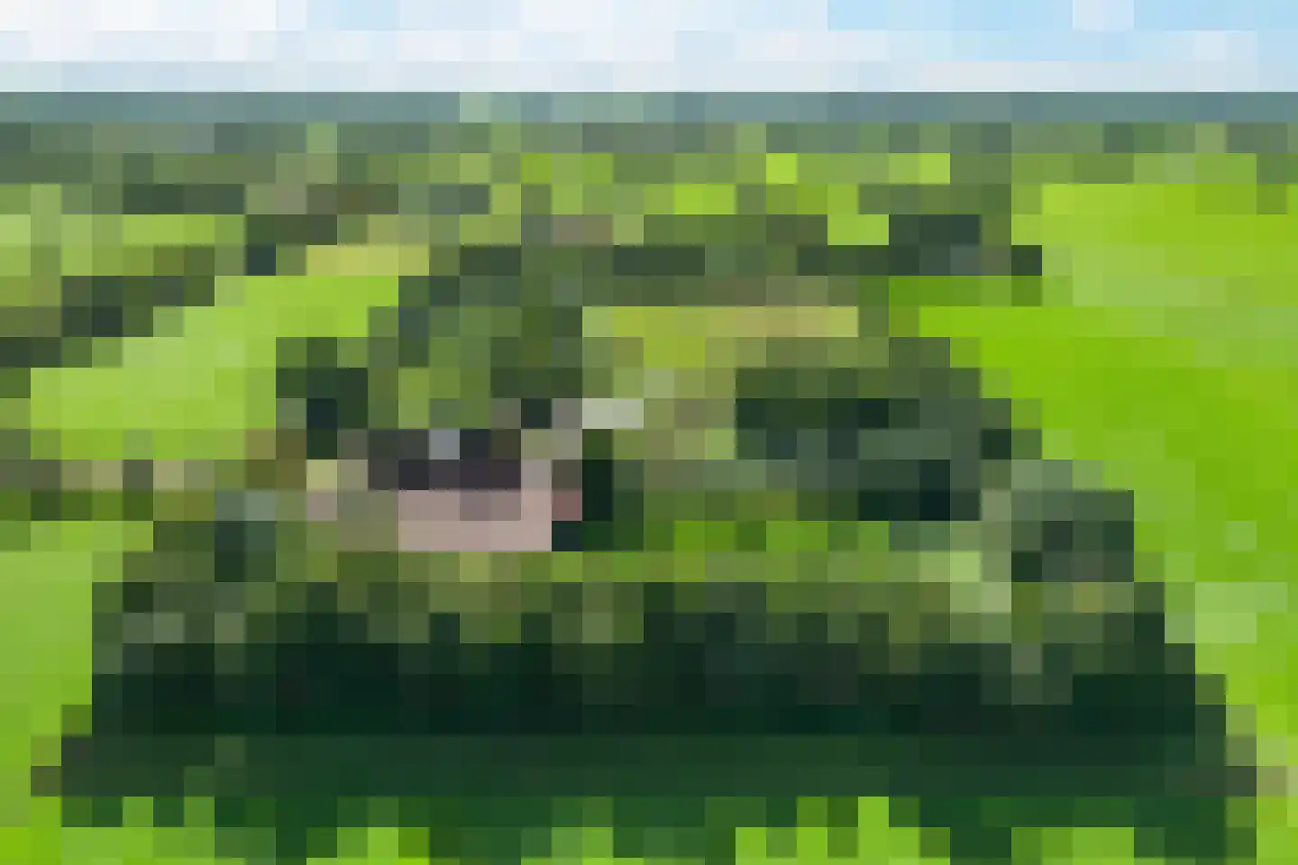 Lietsweg 6 Nuis thumbnail 8