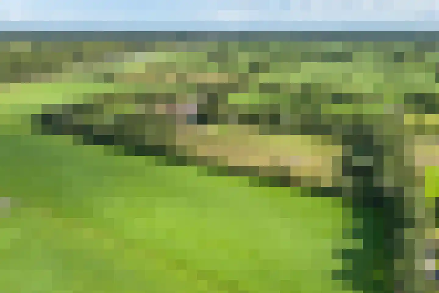 Lietsweg 6 Nuis thumbnail 9