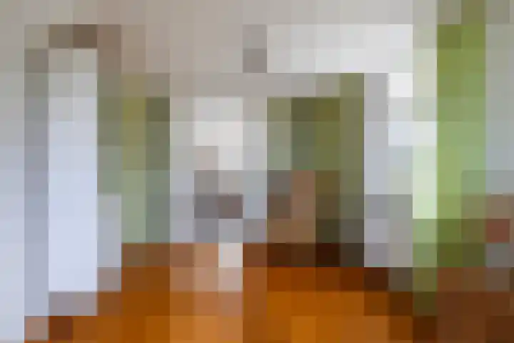 Lieuwe Jellingastrjitte 37 Britsum thumbnail 11