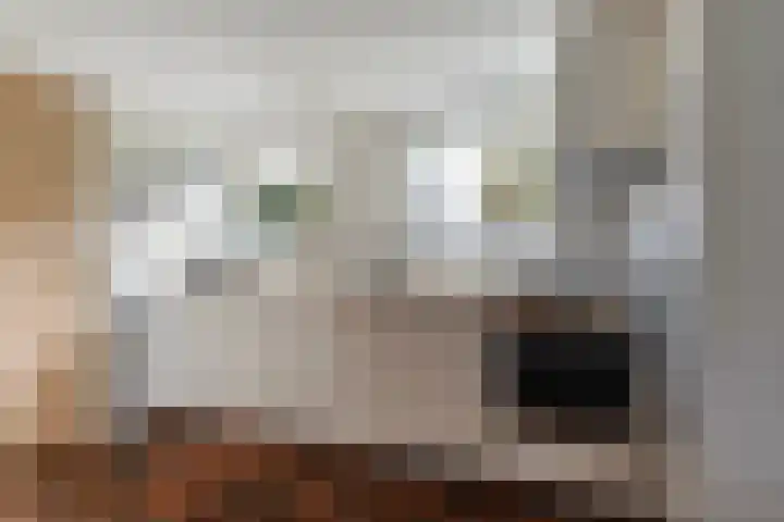 Lieuwe Jellingastrjitte 37 Britsum thumbnail 15