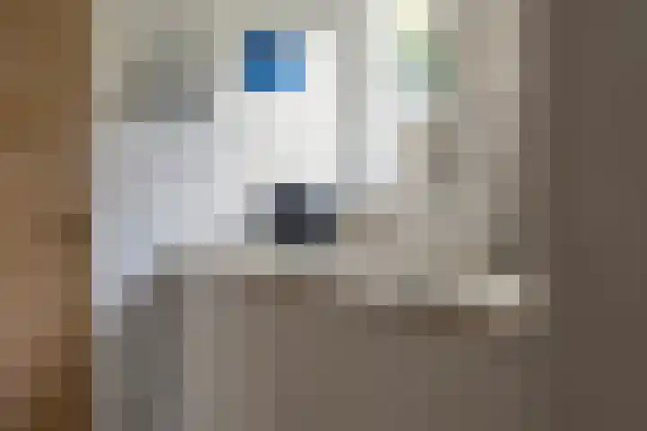 Lieuwe Jellingastrjitte 37 Britsum thumbnail 17