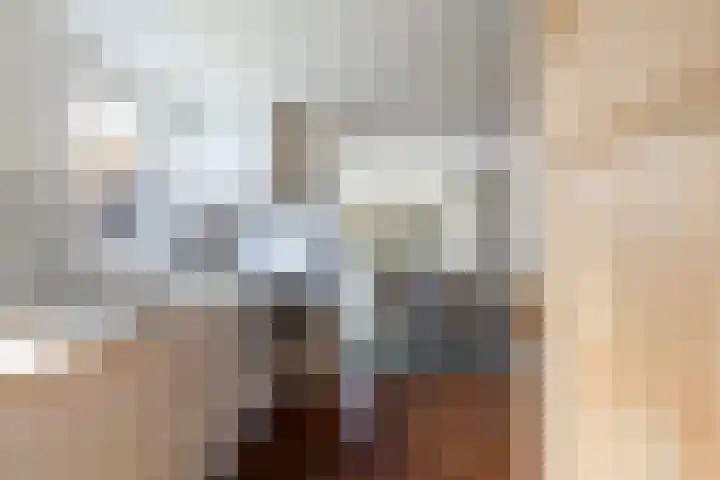 Lieuwe Jellingastrjitte 37 Britsum thumbnail 18