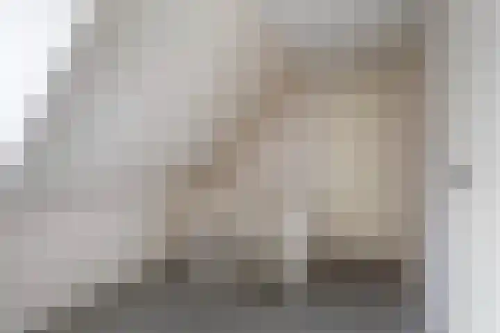 Lieuwe Jellingastrjitte 37 Britsum thumbnail 22
