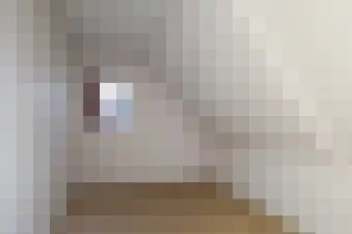 Lieuwe Jellingastrjitte 37 Britsum thumbnail 23