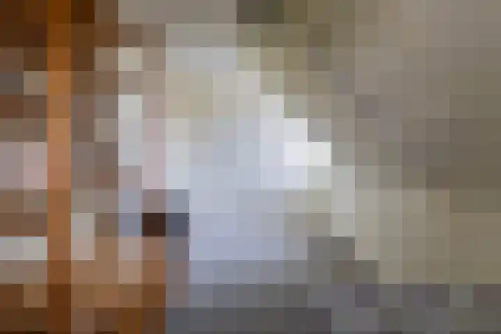 Lieuwe Jellingastrjitte 37 Britsum thumbnail 28
