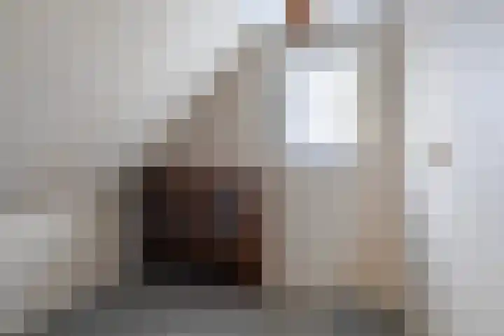 Lieuwe Jellingastrjitte 37 Britsum thumbnail 29