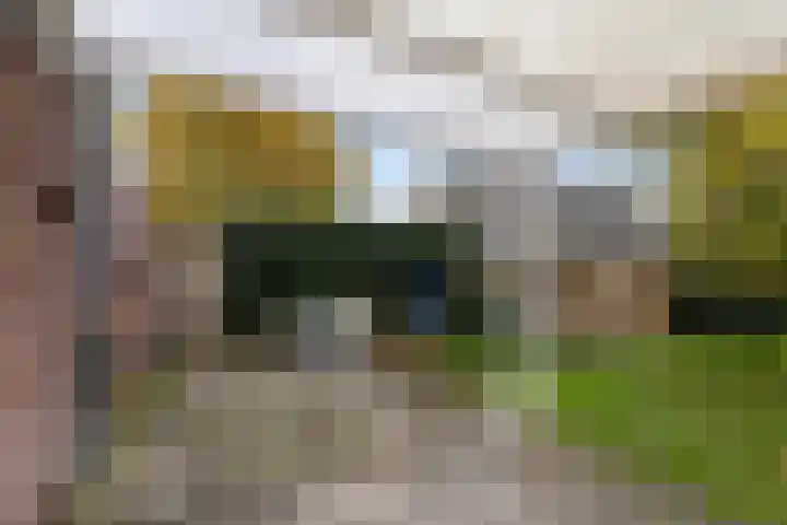 Lieuwe Jellingastrjitte 37 Britsum thumbnail 31