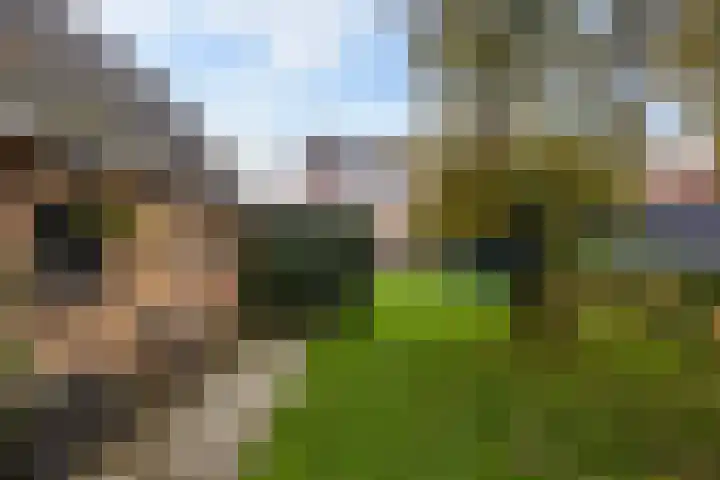 Lieuwe Jellingastrjitte 37 Britsum thumbnail 33