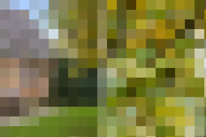 Lieuwe Jellingastrjitte 37 Britsum thumbnail 34