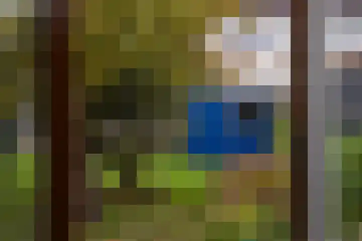 Lieuwe Jellingastrjitte 37 Britsum thumbnail 36