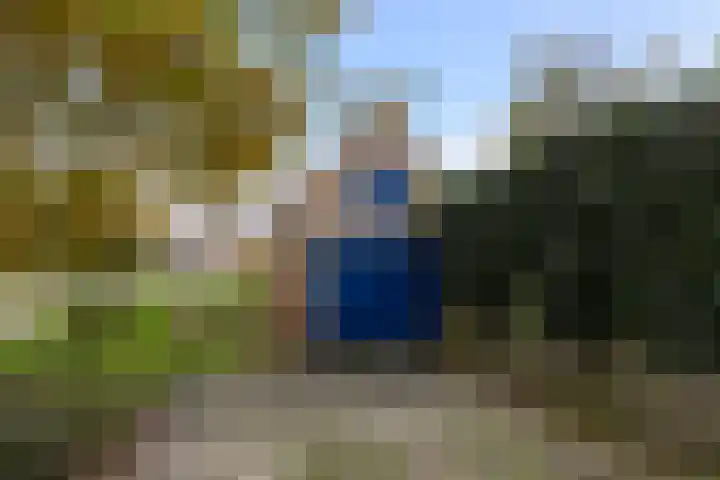 Lieuwe Jellingastrjitte 37 Britsum thumbnail 37