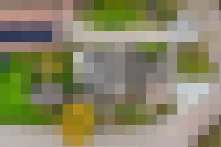 Lieuwe Jellingastrjitte 37 Britsum thumbnail 43