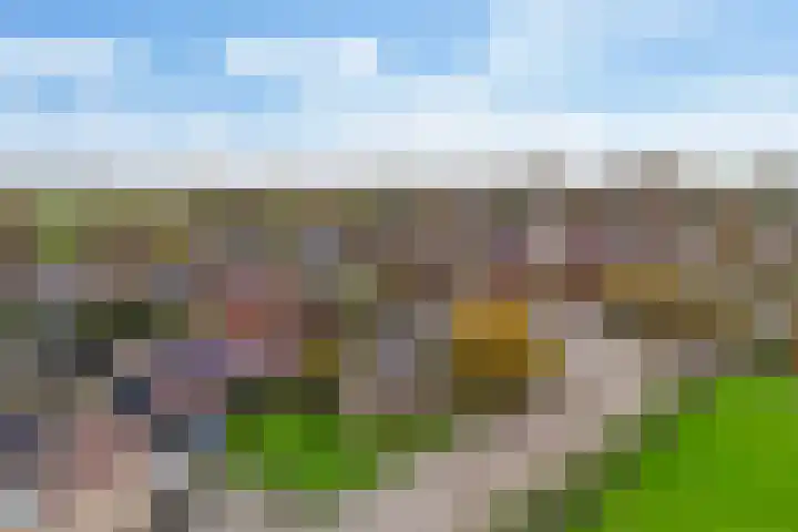 Lieuwe Jellingastrjitte 37 Britsum thumbnail 44