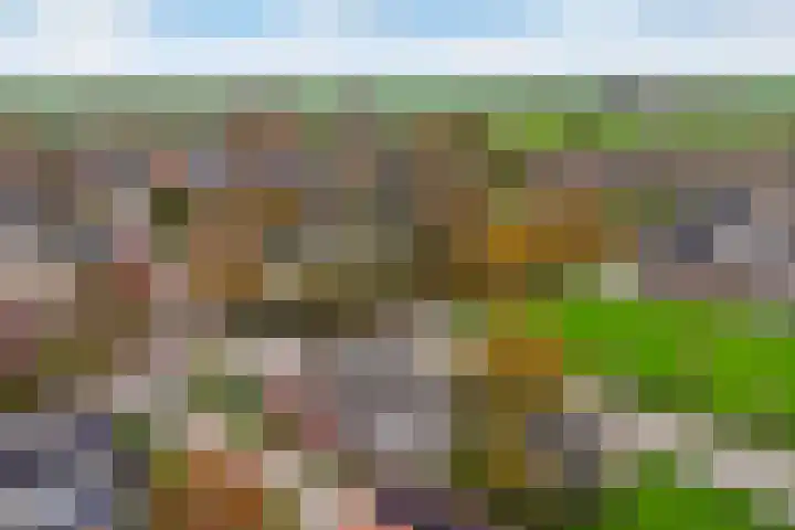 Lieuwe Jellingastrjitte 37 Britsum thumbnail 45