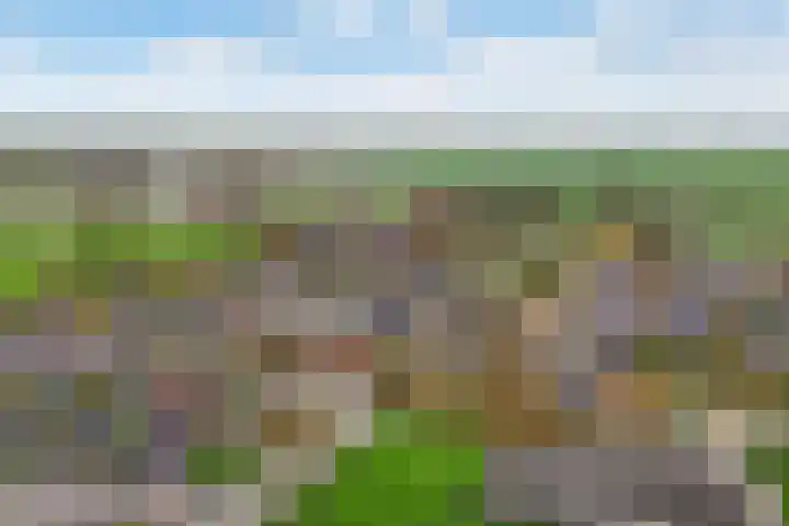 Lieuwe Jellingastrjitte 37 Britsum thumbnail 46