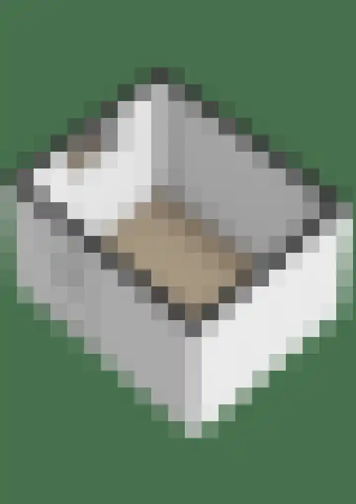 Lieuwe Jellingastrjitte 37 Britsum thumbnail 58