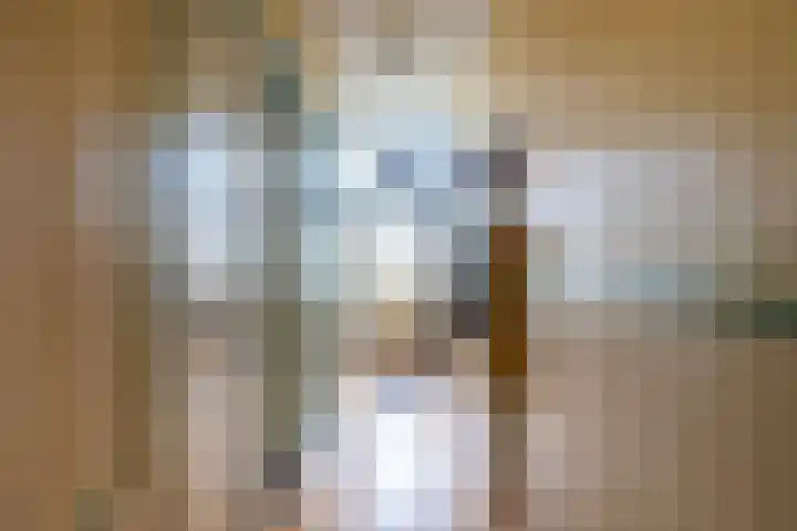 Lieuwe Jellingastrjitte 37 Britsum thumbnail 6