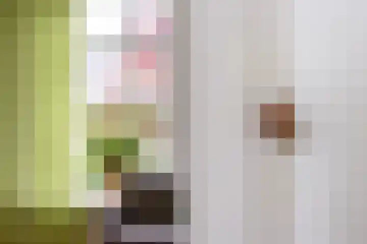 Lieuwe Jellingastrjitte 37 Britsum thumbnail 8