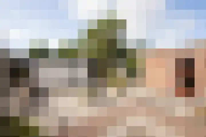 Lieuwkemastraat 28 Makkum thumbnail 17