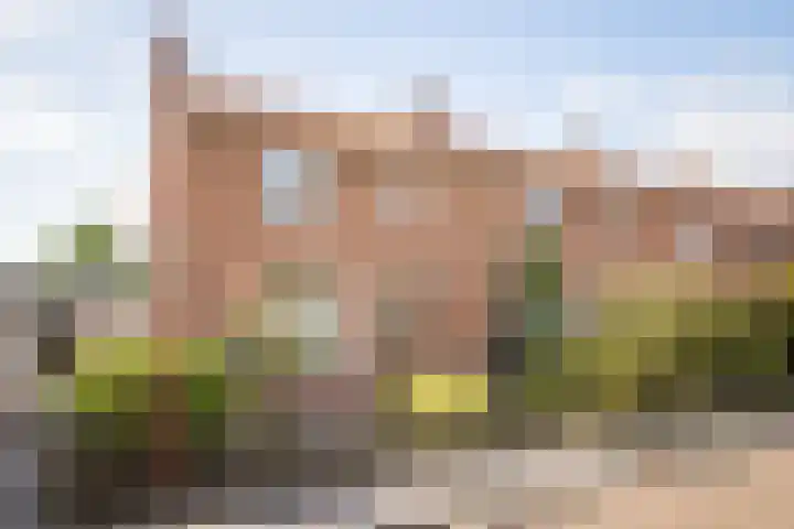 Lieuwkemastraat 28 Makkum thumbnail 7
