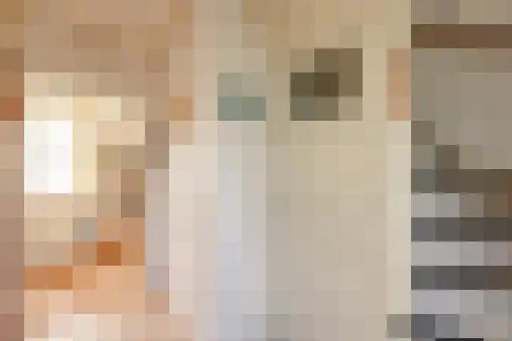Lieuwkemastraat 28 Makkum thumbnail 8