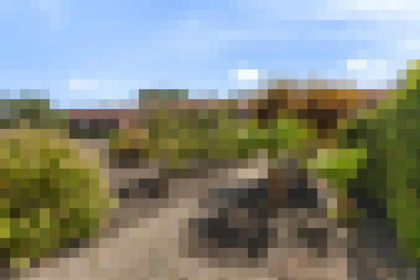 Lieuwkemastraat 3 Makkum thumbnail 15