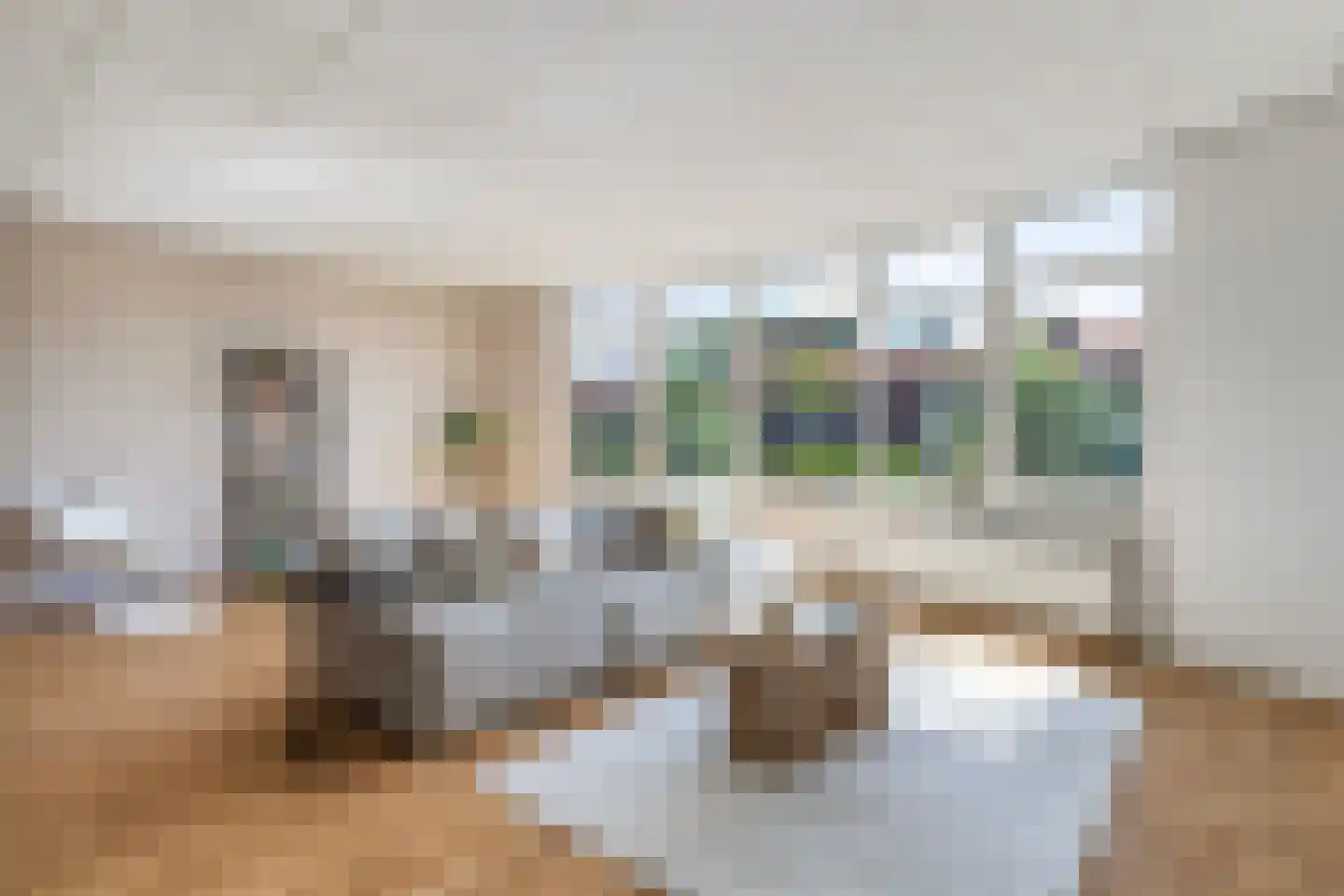 Lieuwkemastraat 3 Makkum thumbnail 17