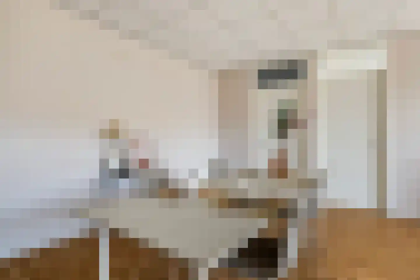 Lieuwkemastraat 3 Makkum thumbnail 24