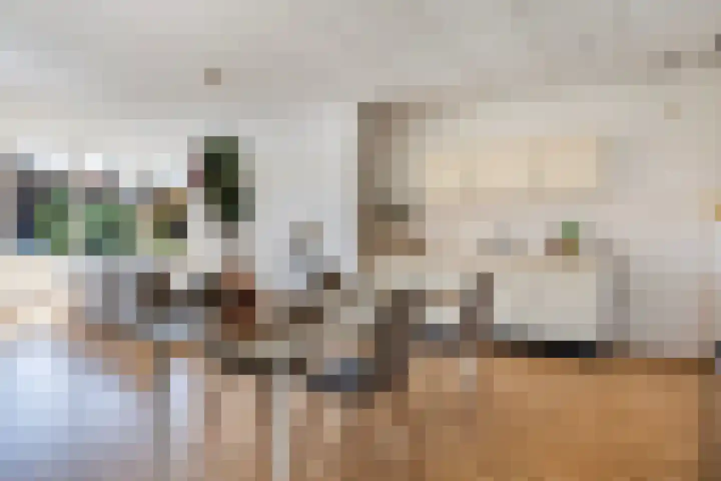 Lieuwkemastraat 3 Makkum thumbnail 27