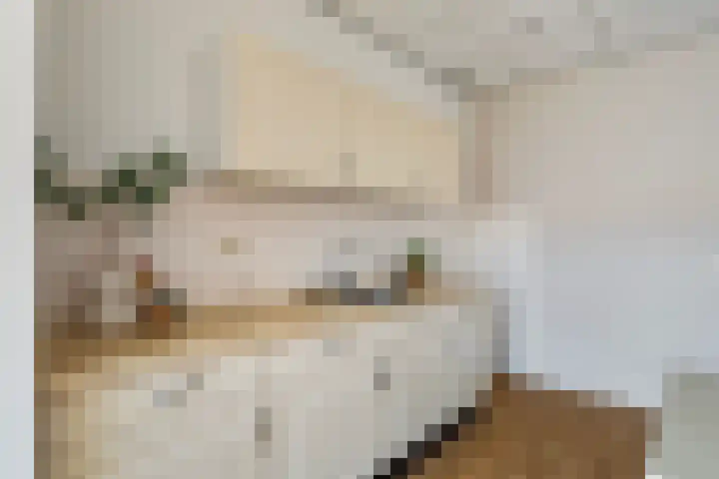 Lieuwkemastraat 3 Makkum thumbnail 30