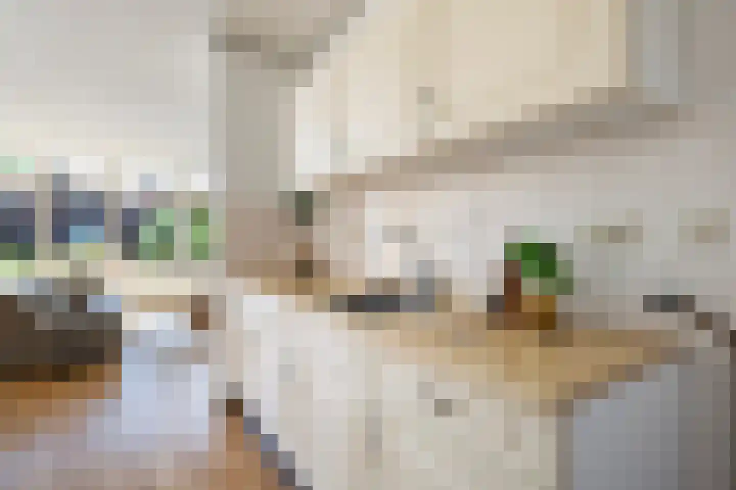 Lieuwkemastraat 3 Makkum thumbnail 32
