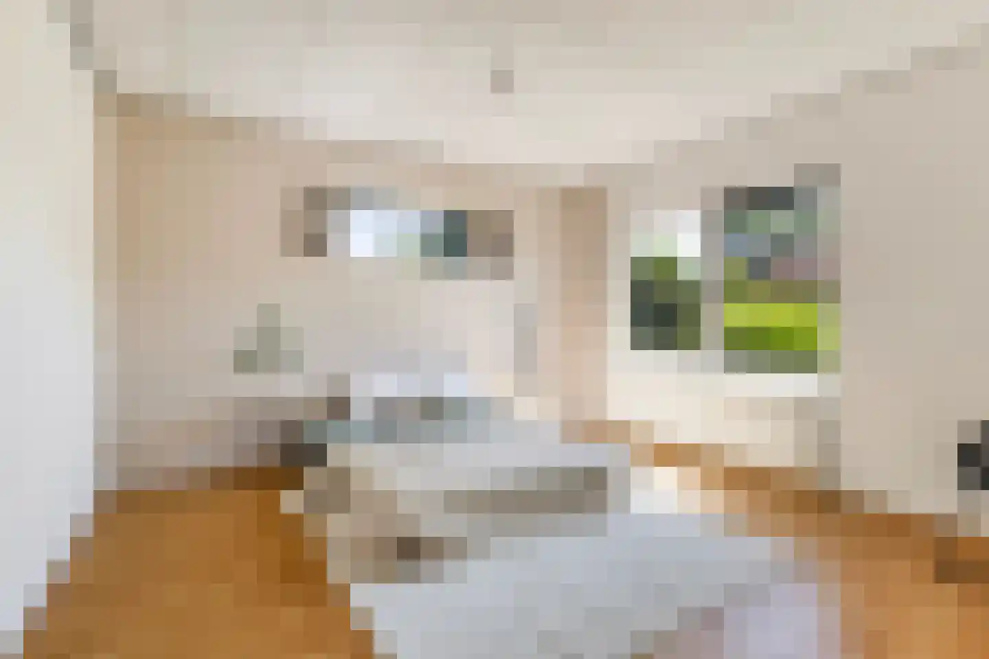 Lieuwkemastraat 3 Makkum thumbnail 33