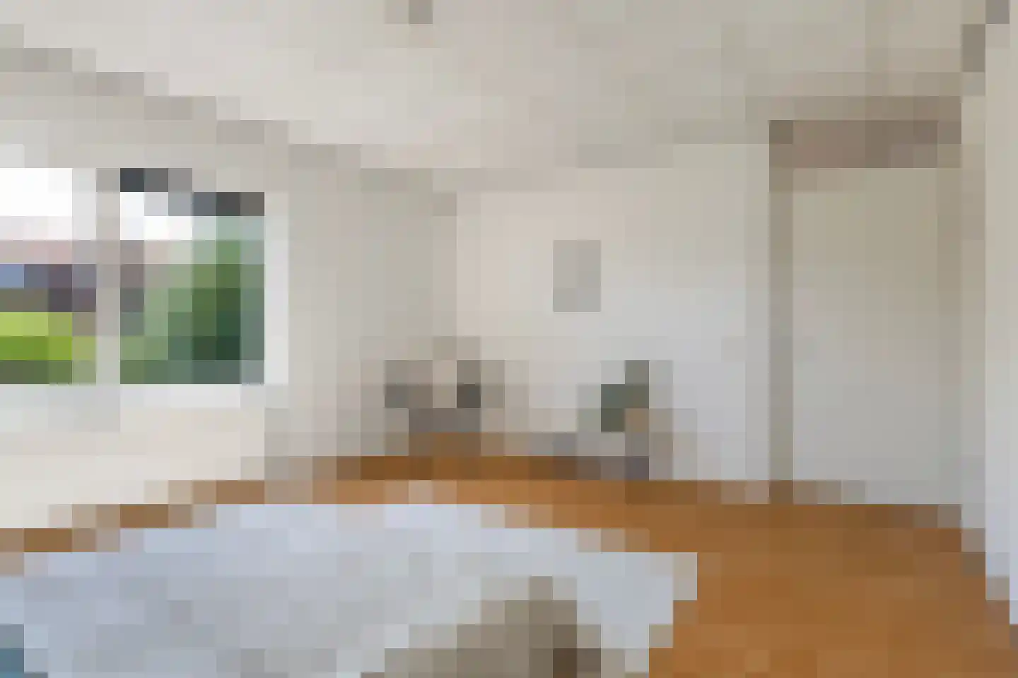 Lieuwkemastraat 3 Makkum thumbnail 34