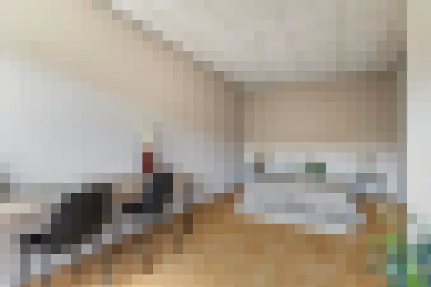 Lieuwkemastraat 3 Makkum thumbnail 37