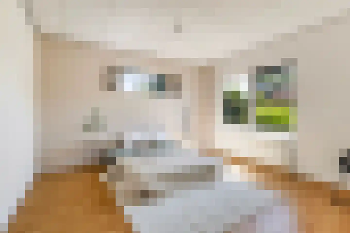 Lieuwkemastraat 3 Makkum thumbnail 4
