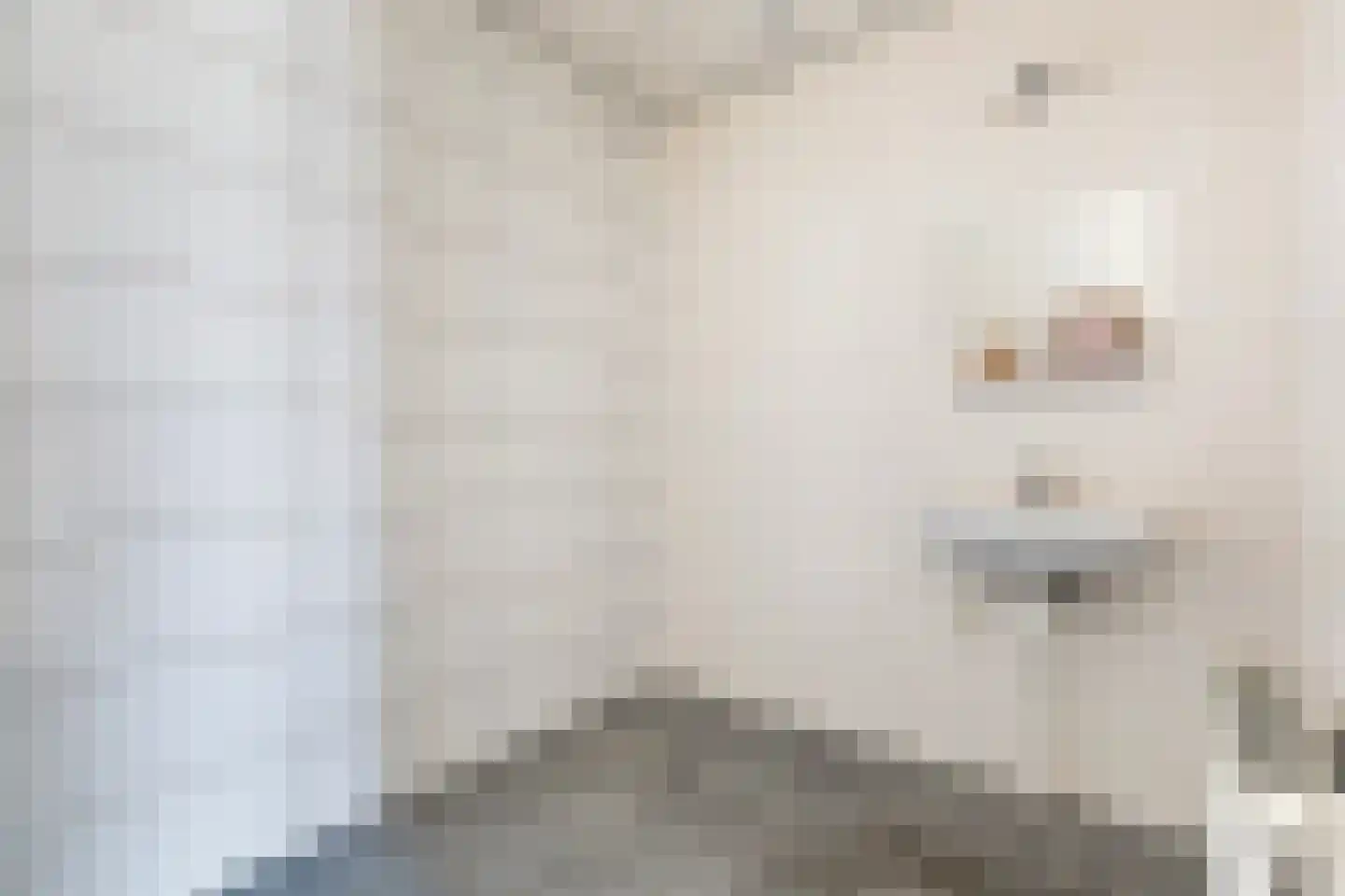 Lieuwkemastraat 3 Makkum thumbnail 40